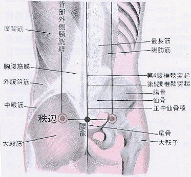 陽光穴|醫砭 » 經穴庫 » 承光